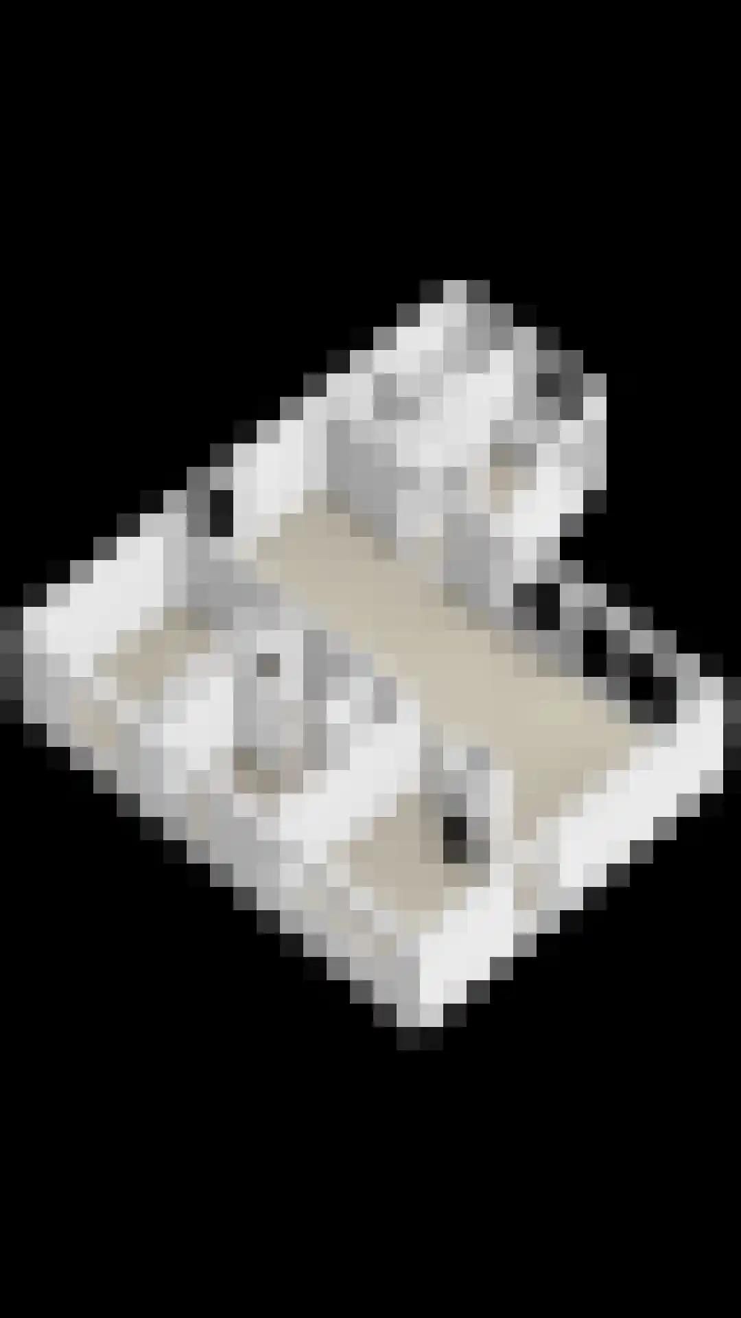 Wegedoorn 31 Geldrop thumbnail 51