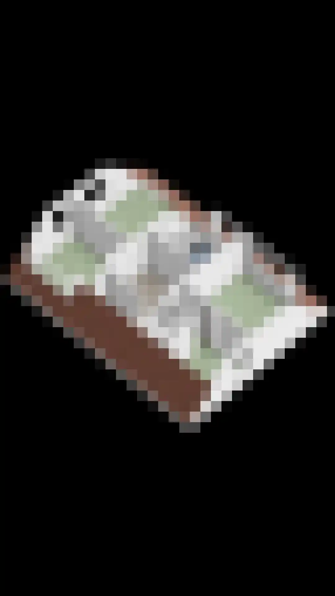 Wegedoorn 31 Geldrop thumbnail 52