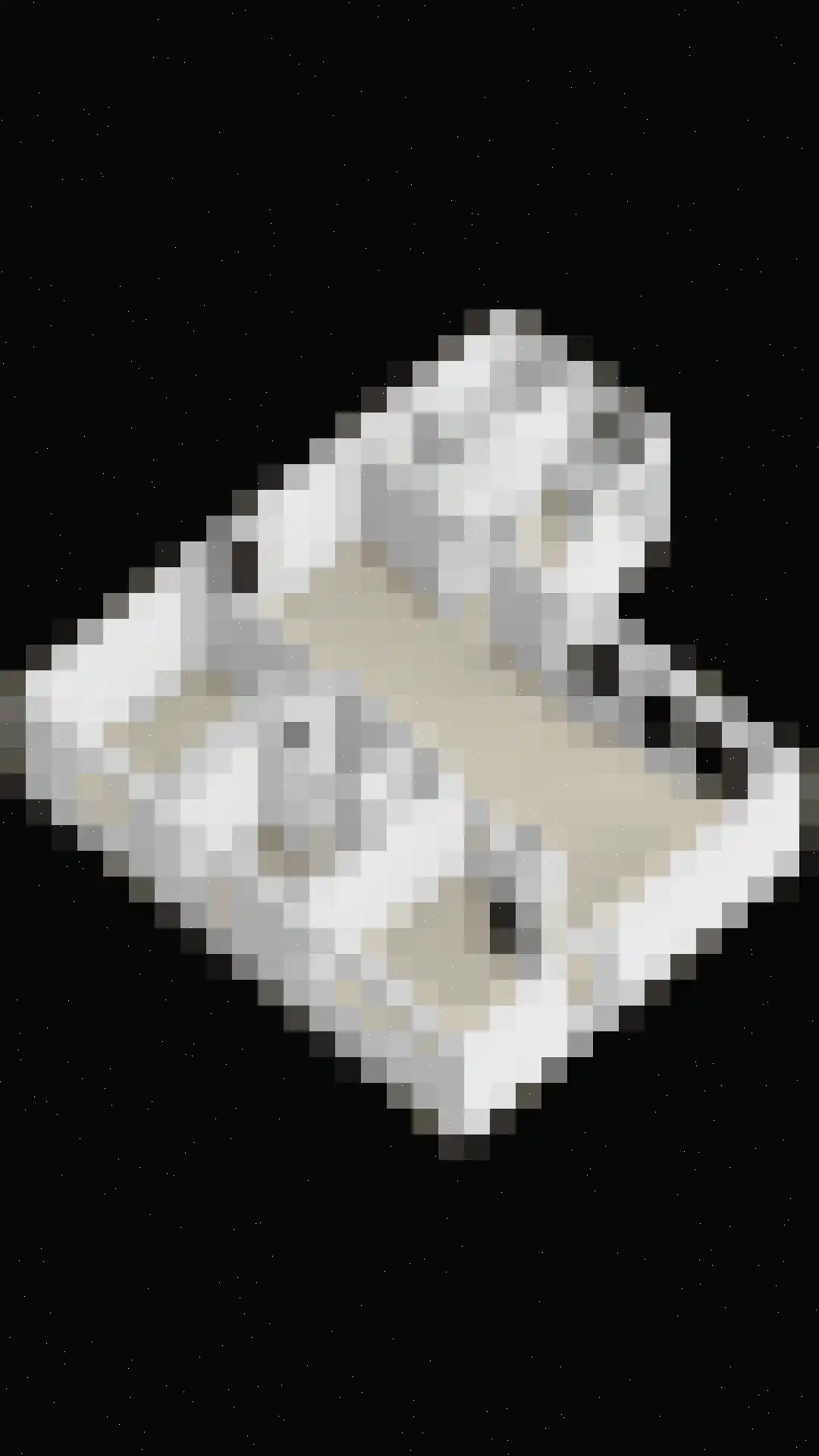 Wegedoorn 31 Geldrop thumbnail 59