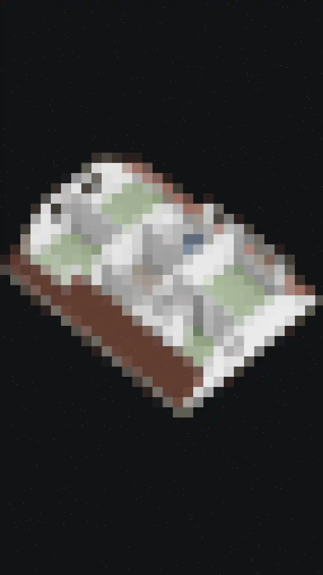Wegedoorn 31 Geldrop thumbnail 60