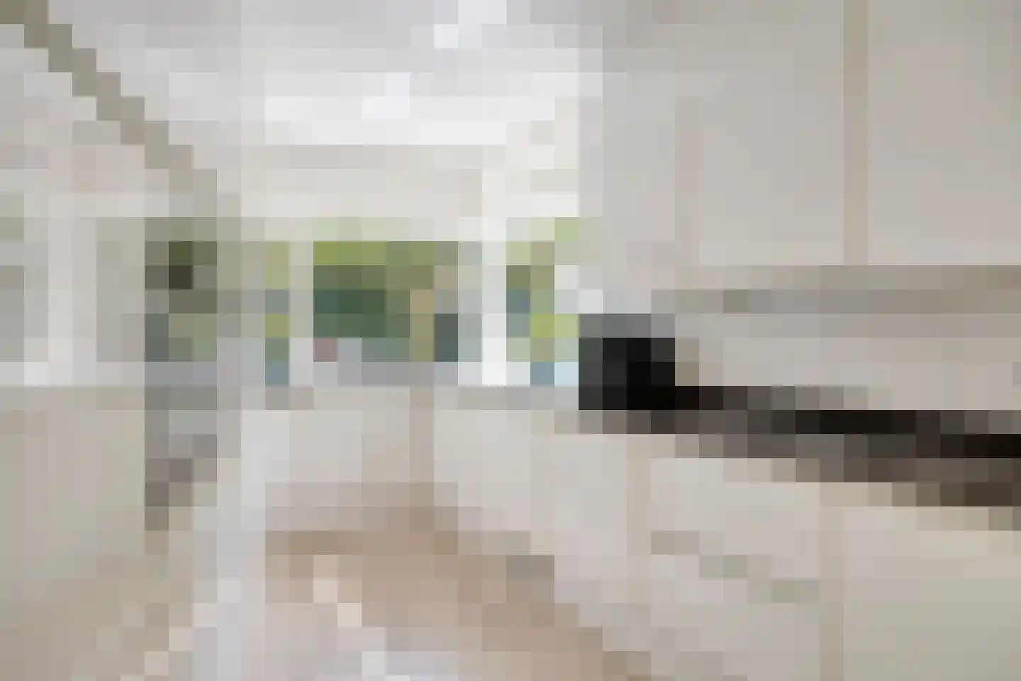 Wegedoorn 31 Geldrop thumbnail 7