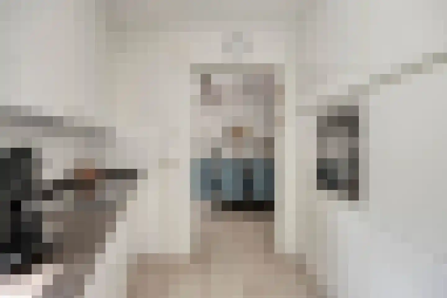 Wegedoorn 31 Geldrop thumbnail 9