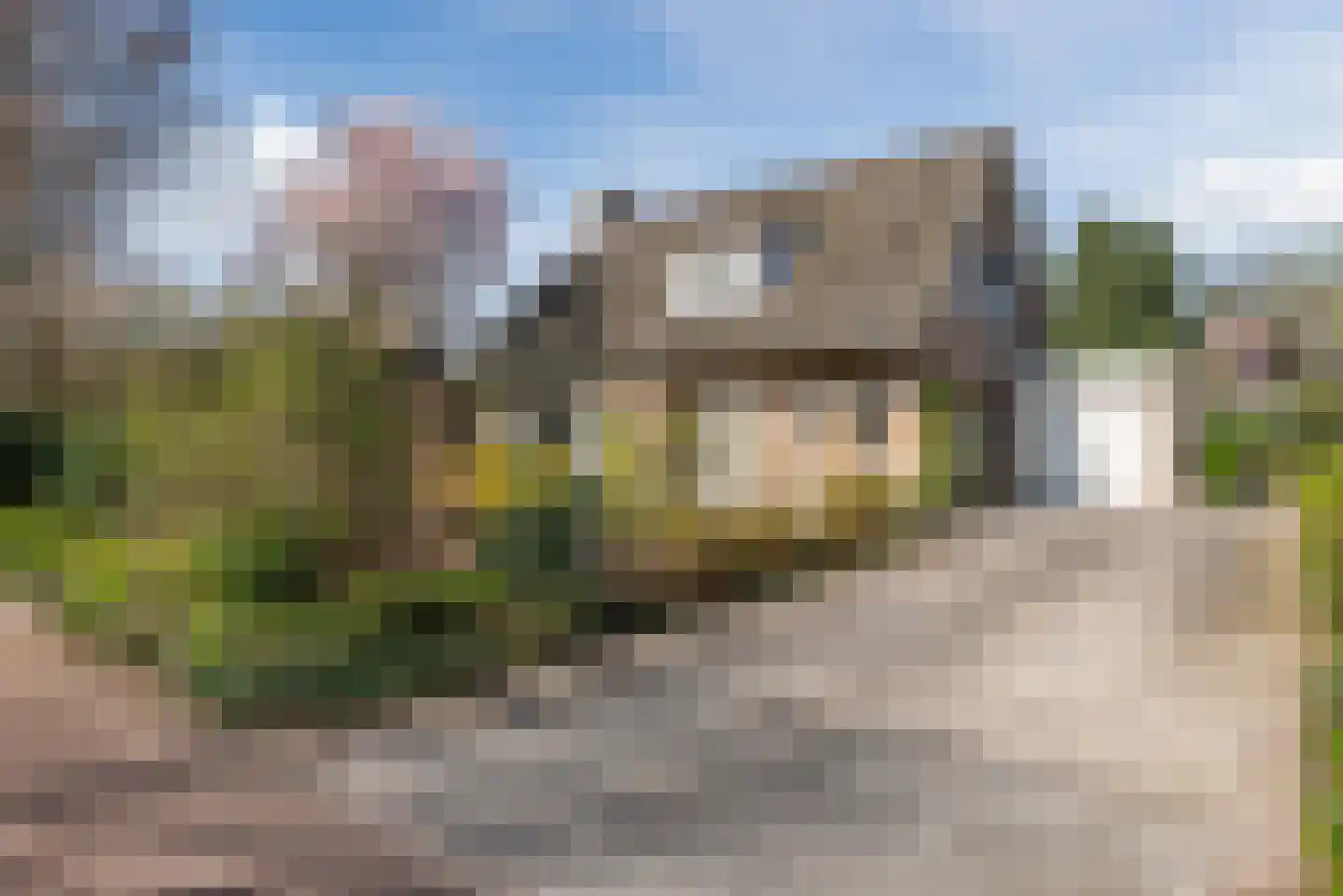 Wegedoorn 32 Geldrop