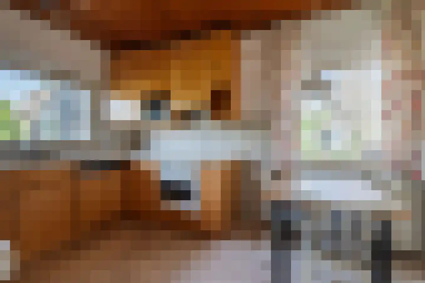 Wegedoorn 32 Geldrop thumbnail 13