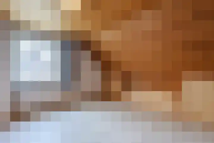 Wegedoorn 32 Geldrop thumbnail 17