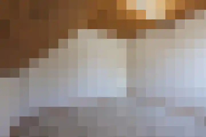 Wegedoorn 32 Geldrop thumbnail 20