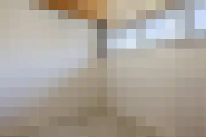 Wegedoorn 32 Geldrop thumbnail 22