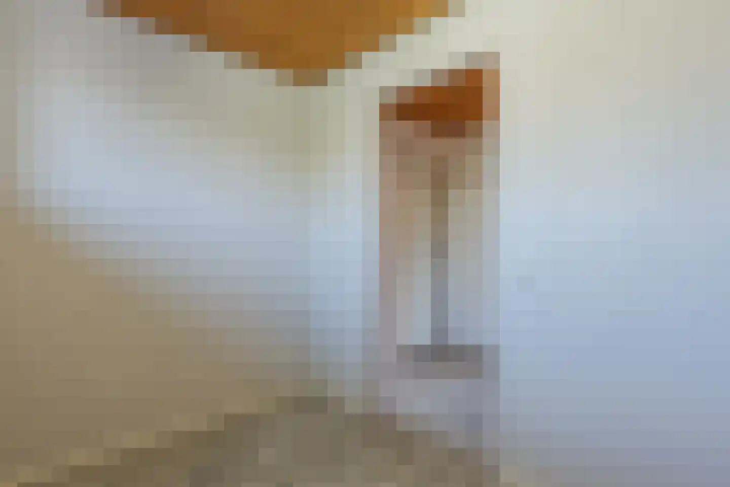 Wegedoorn 32 Geldrop thumbnail 23