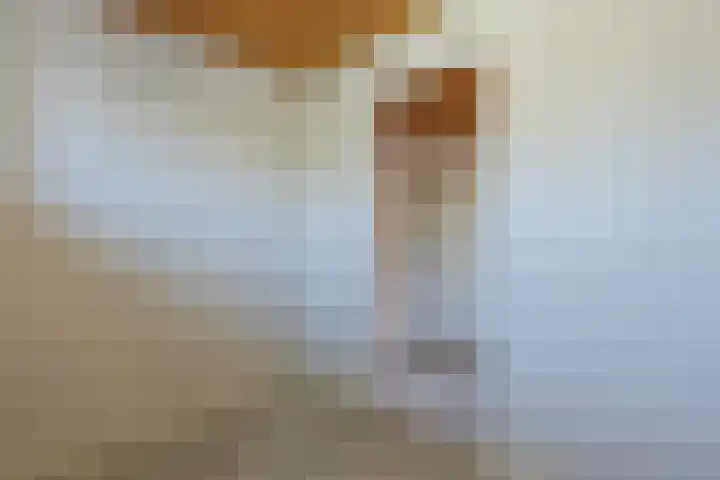 Wegedoorn 32 Geldrop thumbnail 23