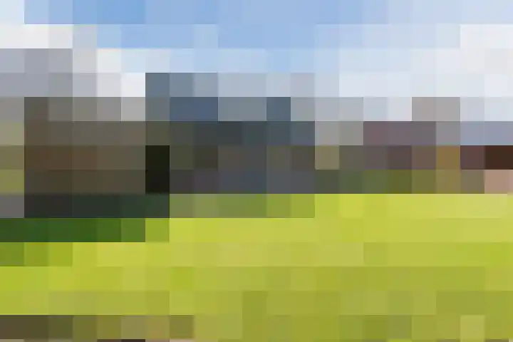 Wegedoorn 32 Geldrop thumbnail 32