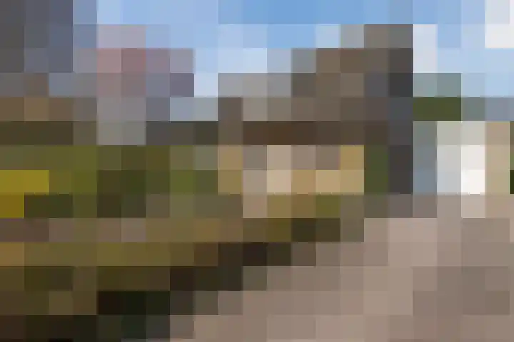 Wegedoorn 32 Geldrop thumbnail 36