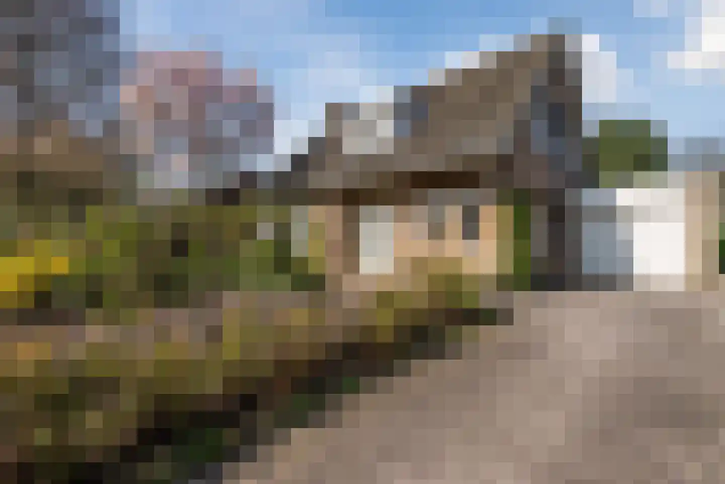 Wegedoorn 32 Geldrop thumbnail 36