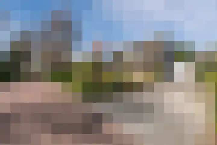 Wegedoorn 32 Geldrop thumbnail 37