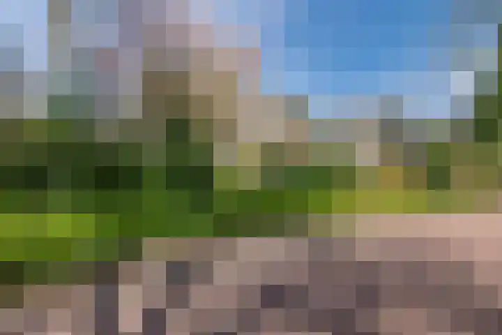 Wegedoorn 32 Geldrop thumbnail 38