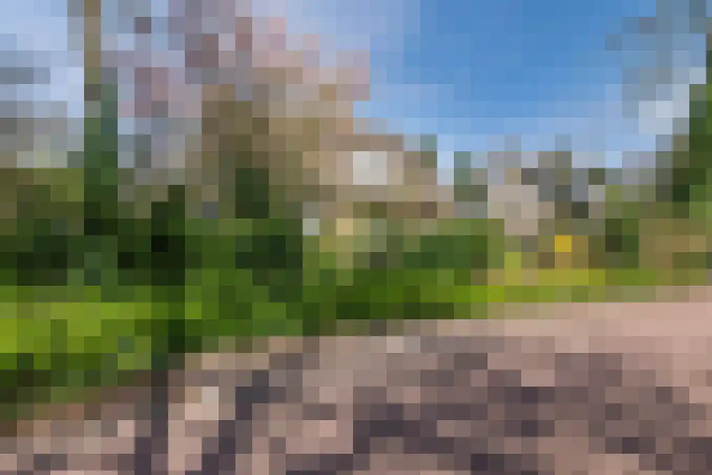Wegedoorn 32 Geldrop thumbnail 38