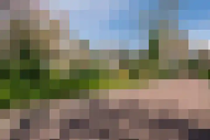 Wegedoorn 32 Geldrop thumbnail 39