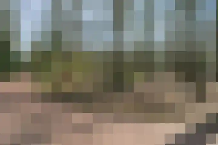 Wegedoorn 32 Geldrop thumbnail 41