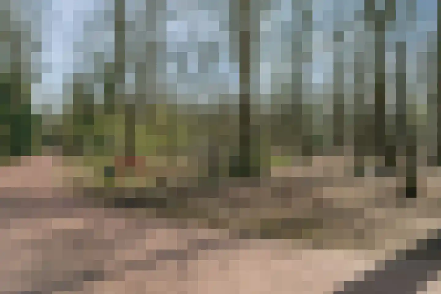 Wegedoorn 32 Geldrop thumbnail 41