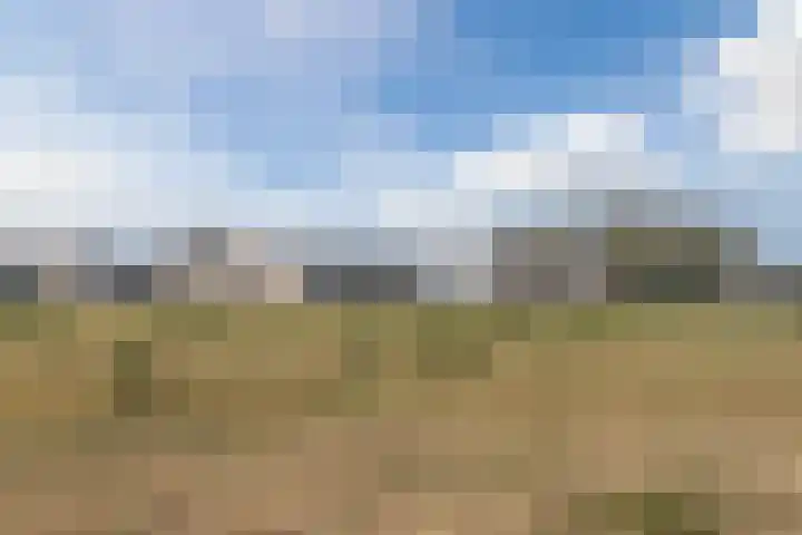 Wegedoorn 32 Geldrop thumbnail 42