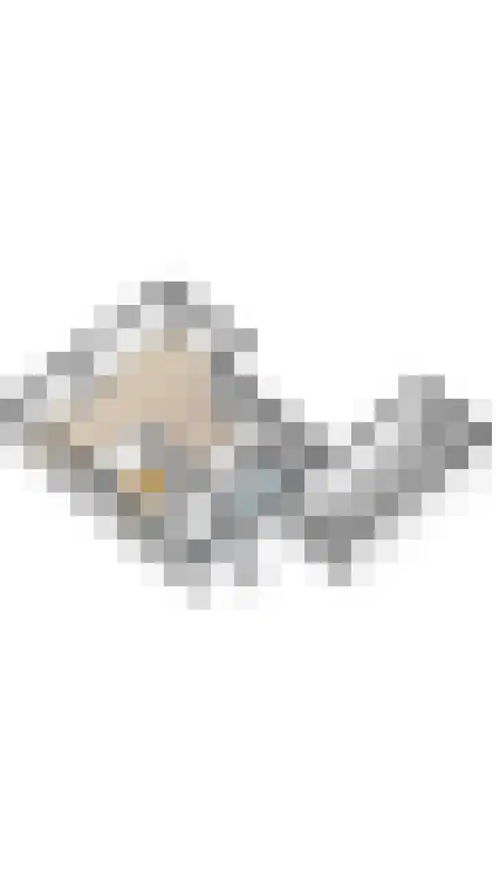 Wegedoorn 32 Geldrop thumbnail 47
