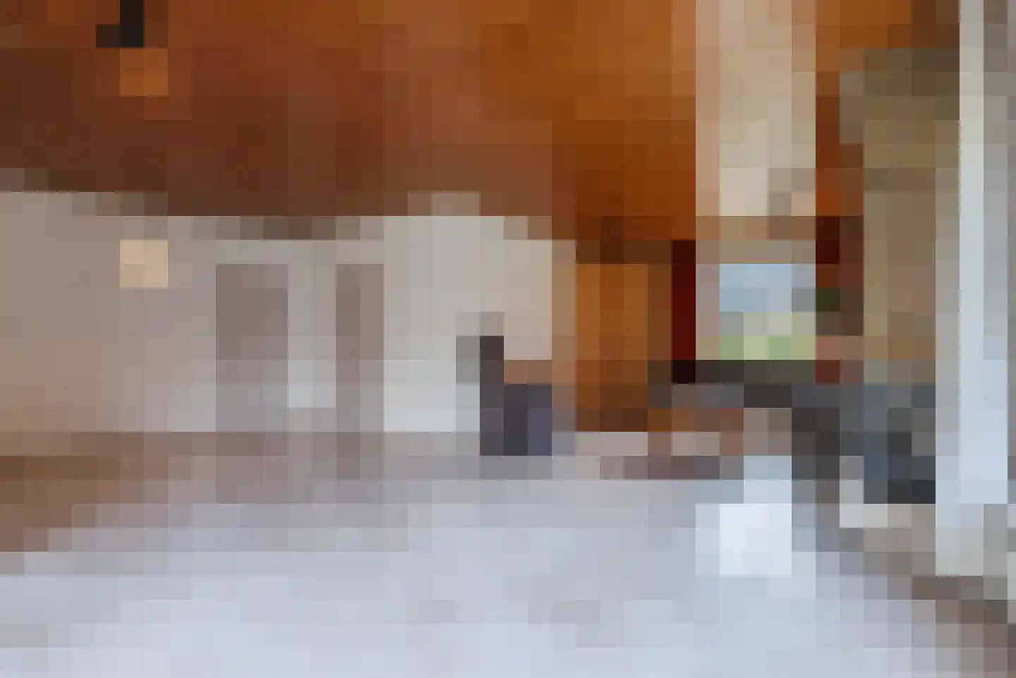 Wegedoorn 32 Geldrop thumbnail 9