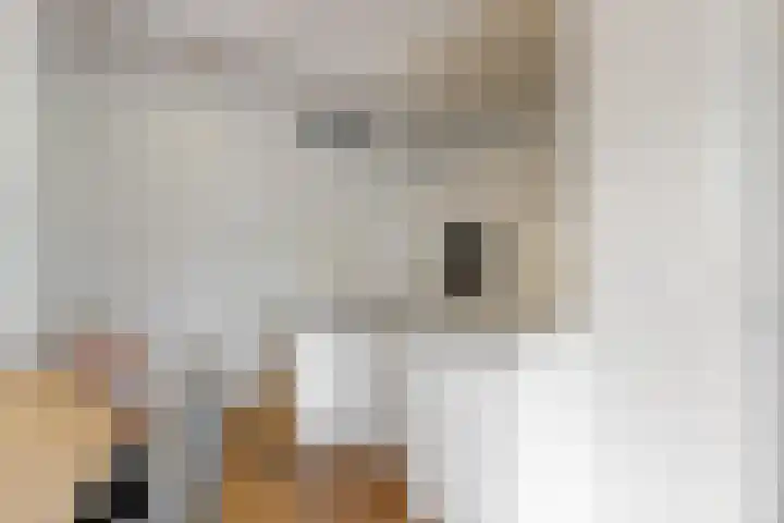 Wegedoorn 6 Heiloo thumbnail 14