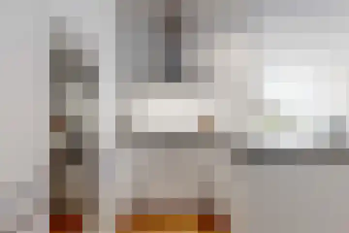 Wegedoorn 6 Heiloo thumbnail 16
