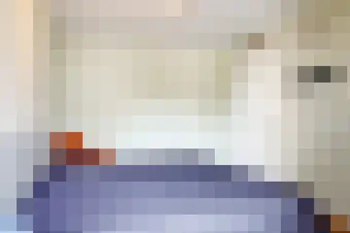 Wegedoorn 6 Heiloo thumbnail 19