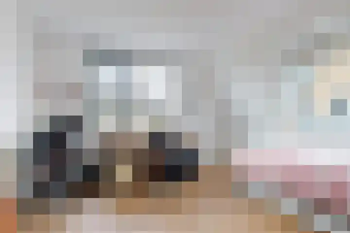 Wegedoorn 6 Heiloo thumbnail 31