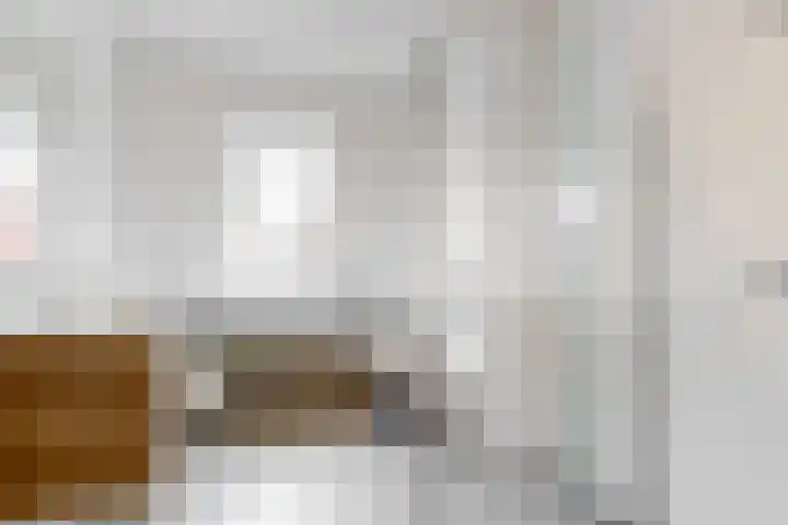 Wegedoorn 6 Heiloo thumbnail 33