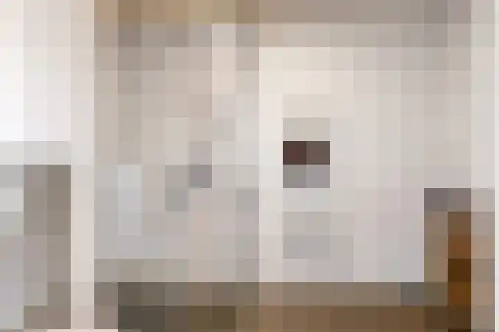 Wegedoorn 6 Heiloo thumbnail 35