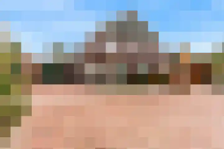 Wegedoorn 6 Heiloo thumbnail 37