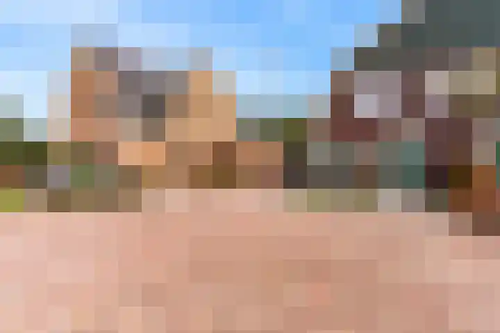 Wegedoorn 6 Heiloo thumbnail 41