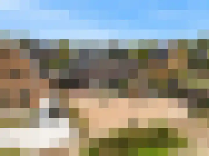 Wegedoorn 6 Heiloo thumbnail 42