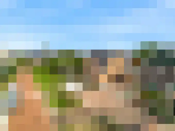 Wegedoorn 6 Heiloo thumbnail 45