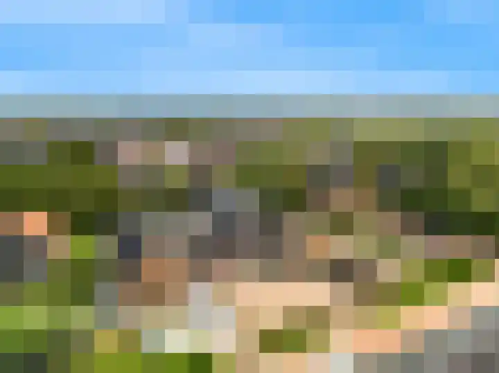 Wegedoorn 6 Heiloo thumbnail 46