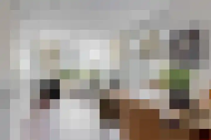 Wegedoorn 6 Heiloo thumbnail 9