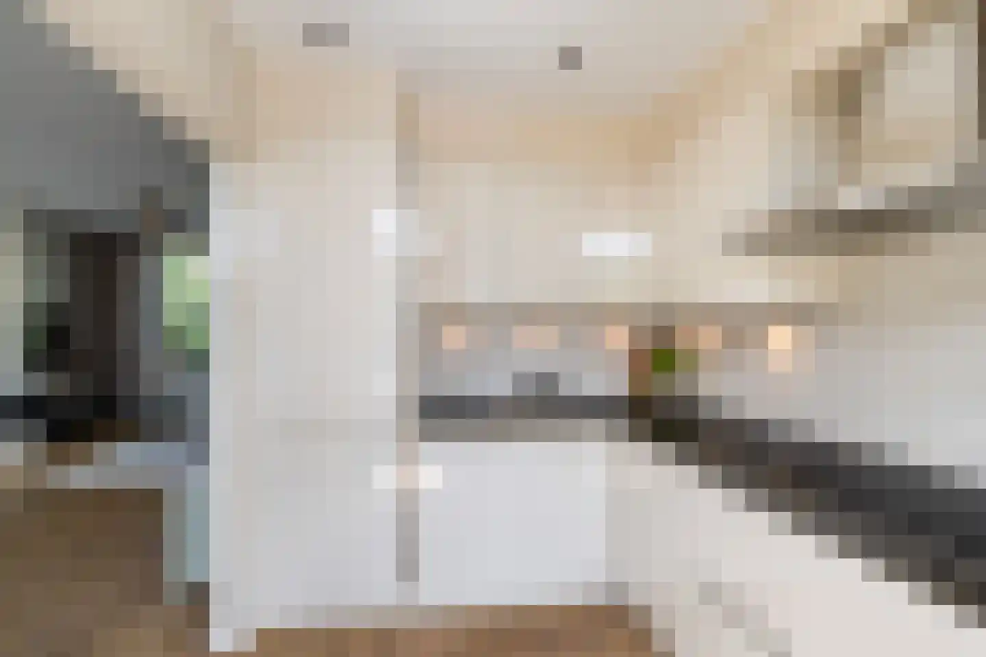 Wegedoornpad 13 's-Gravenzande thumbnail 10