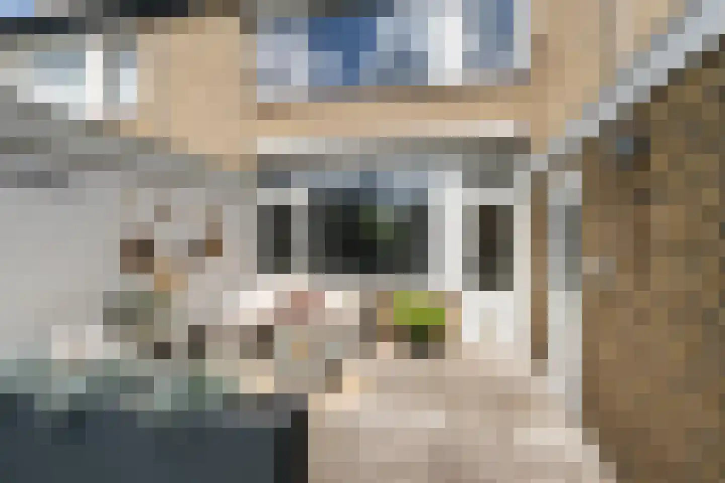 Wegedoornpad 13 's-Gravenzande thumbnail 14