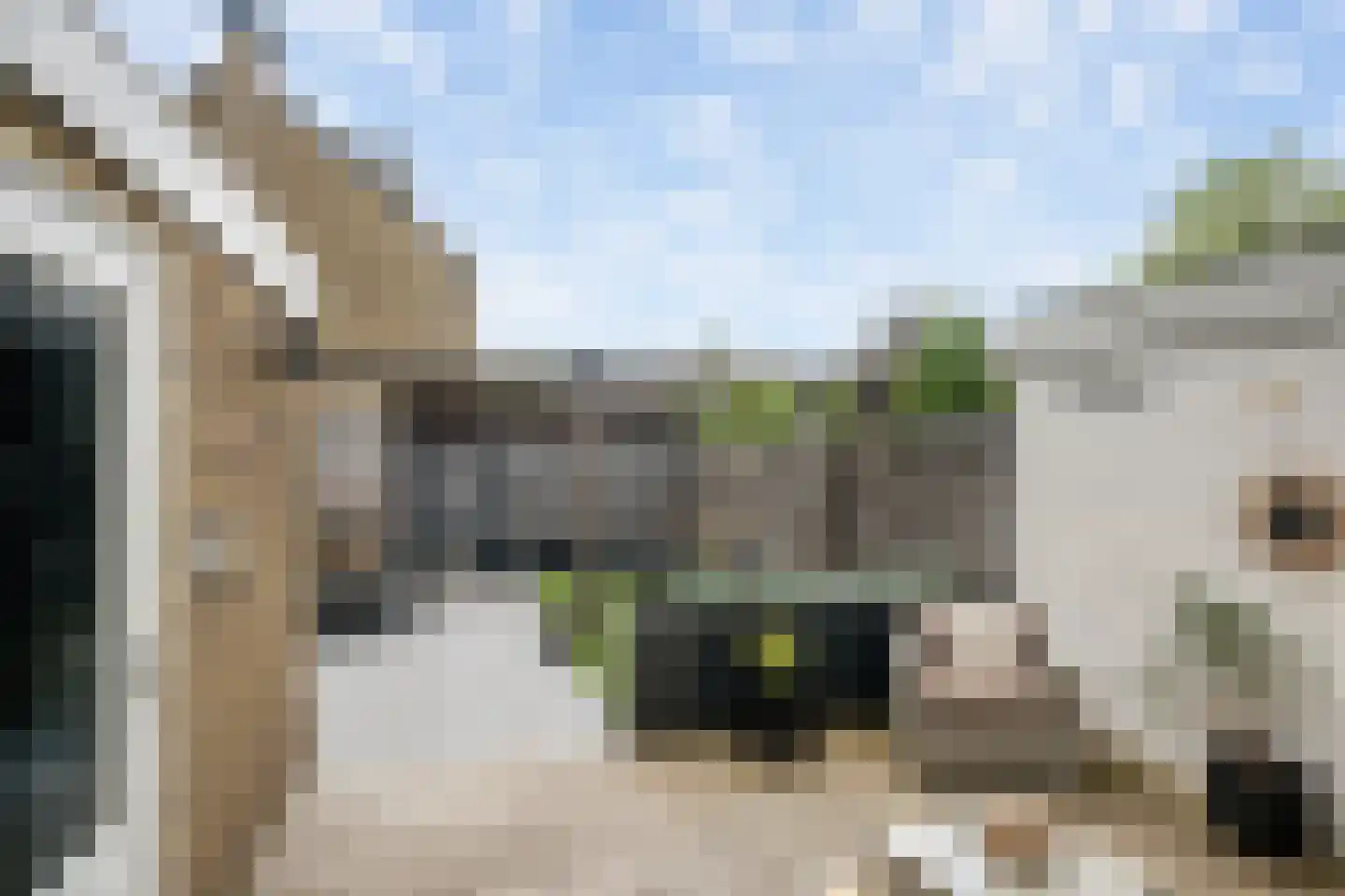 Wegedoornpad 13 's-Gravenzande thumbnail 16