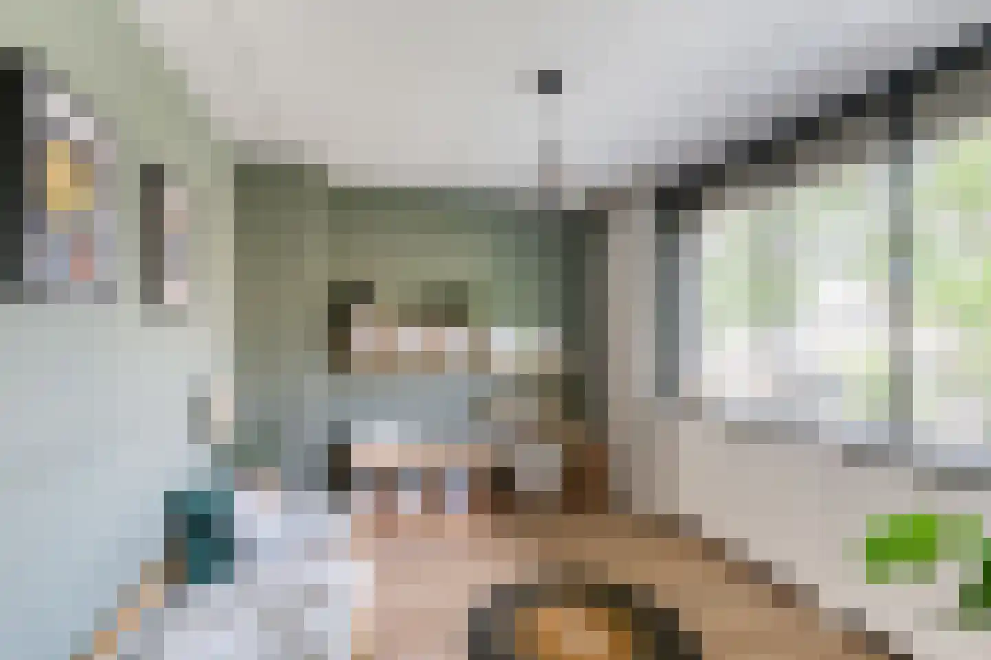 Wegedoornpad 13 's-Gravenzande thumbnail 30
