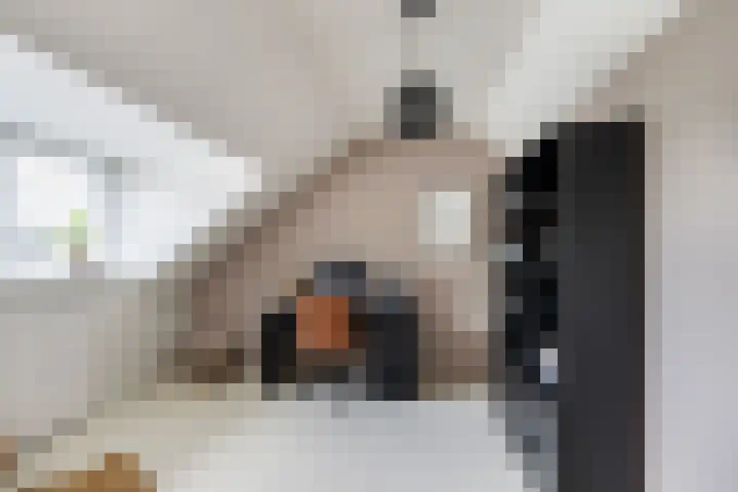 Wegedoornpad 13 's-Gravenzande thumbnail 33