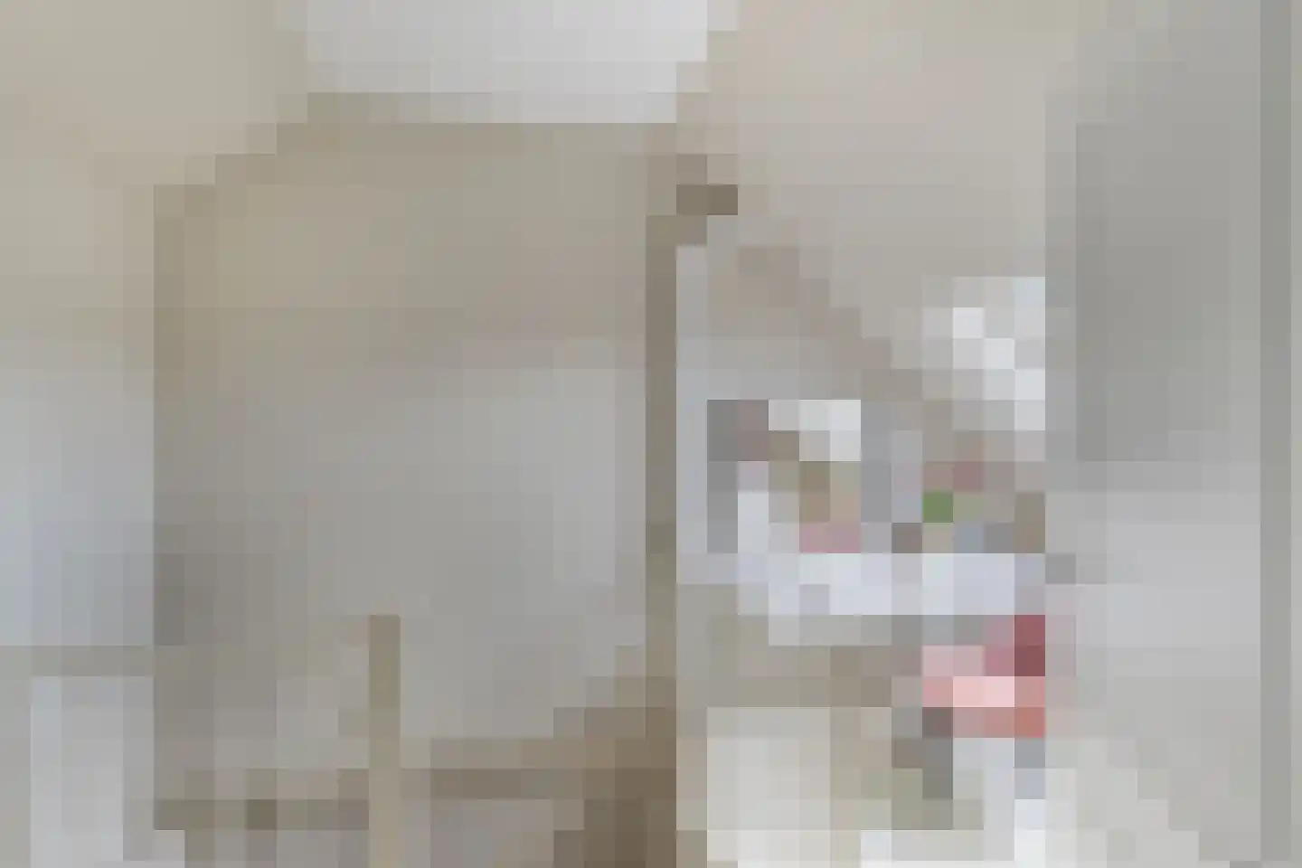 Wegedoornpad 13 's-Gravenzande thumbnail 38