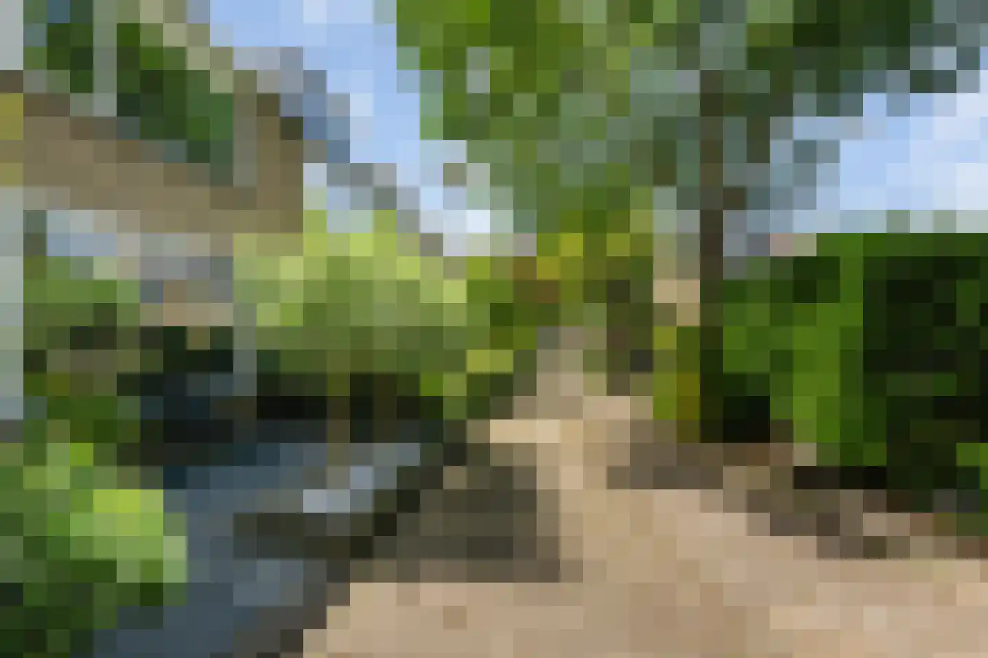 Wegedoornpad 13 's-Gravenzande thumbnail 4