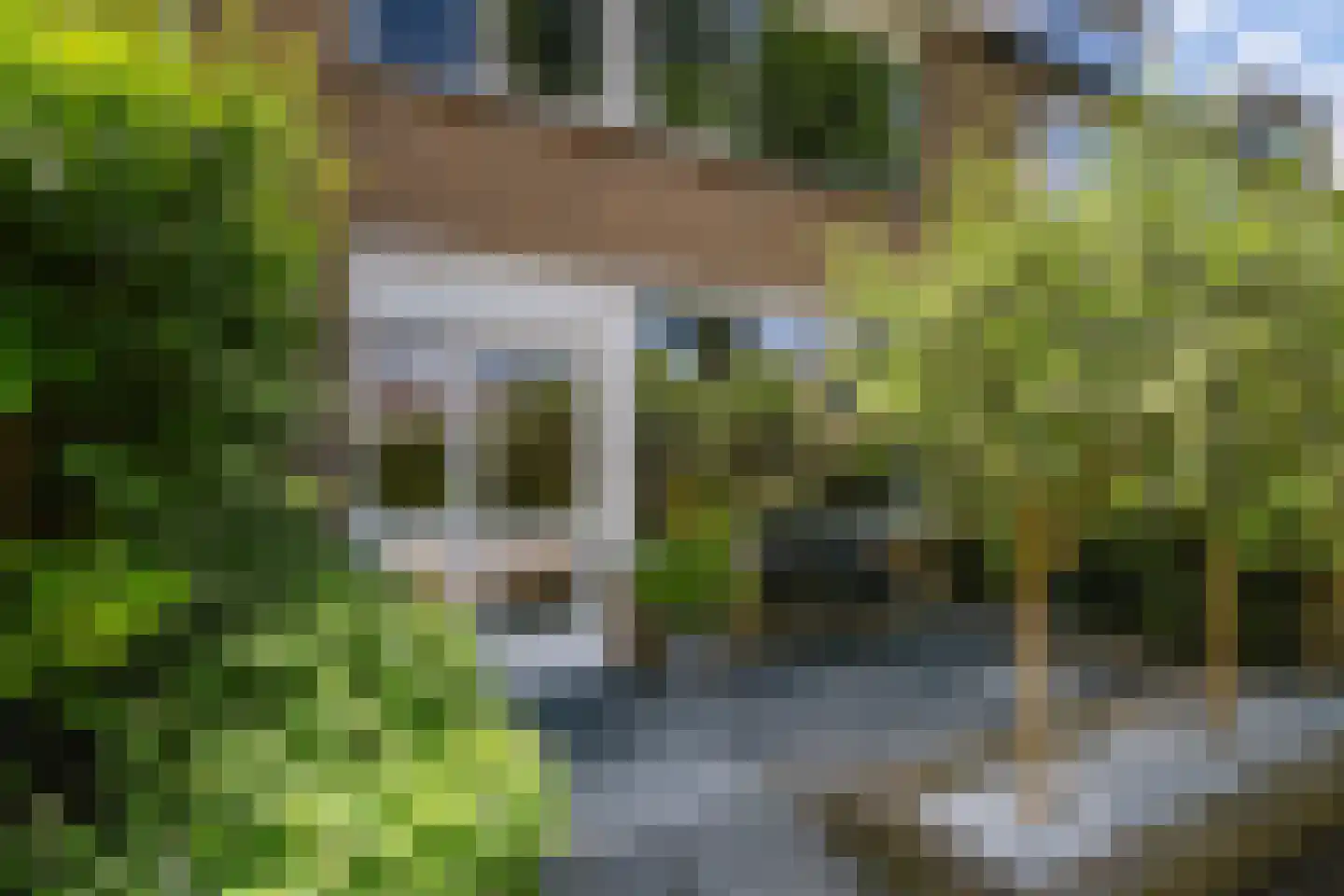 Wegedoornpad 13 's-Gravenzande thumbnail 40