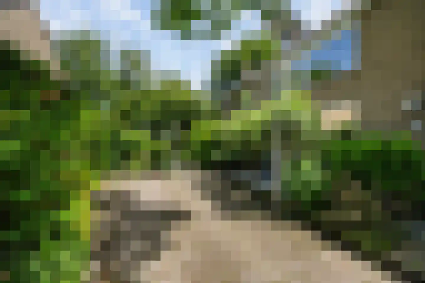 Wegedoornpad 13 's-Gravenzande thumbnail 41