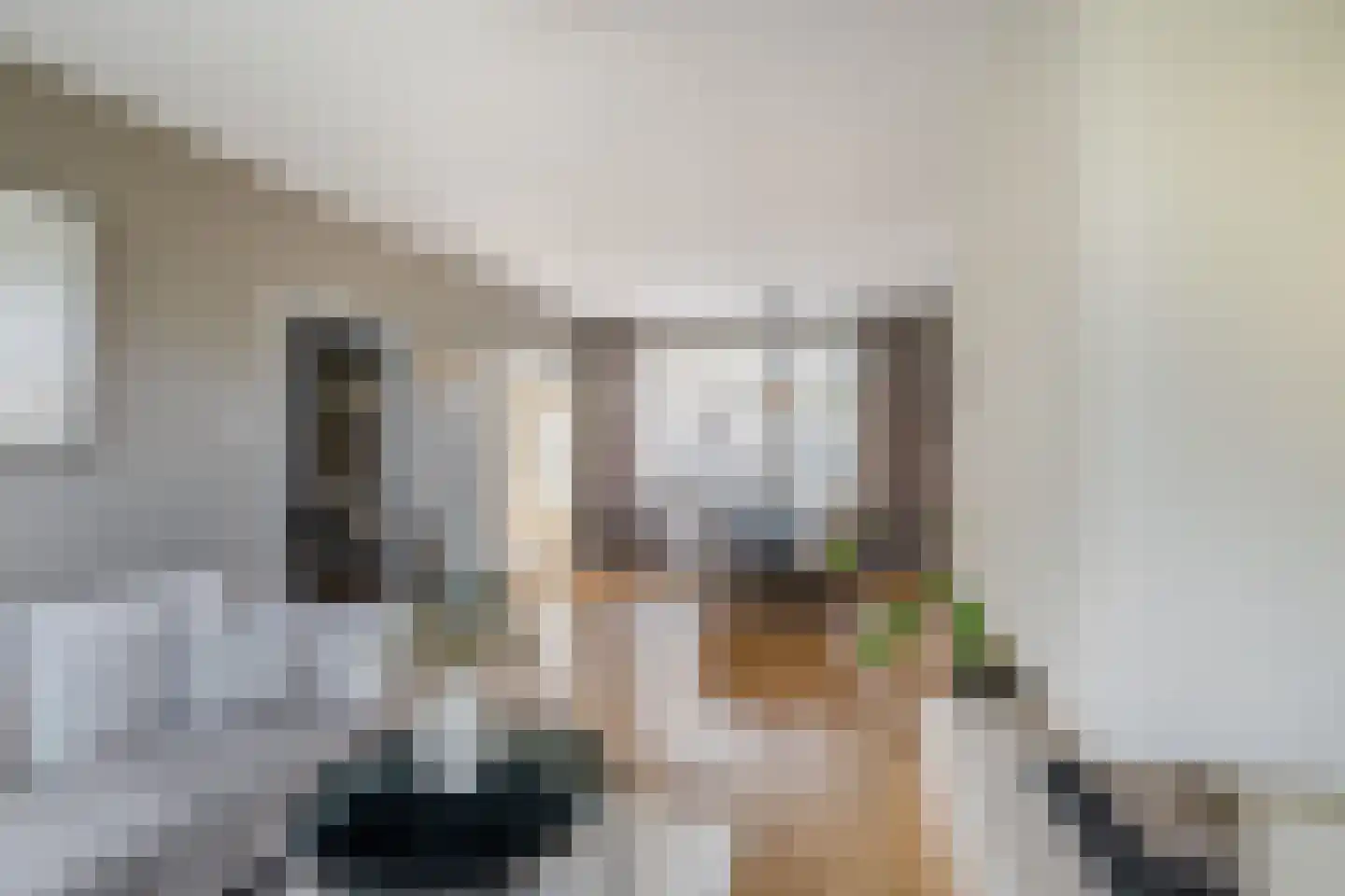 Wegedoornpad 13 's-Gravenzande thumbnail 5