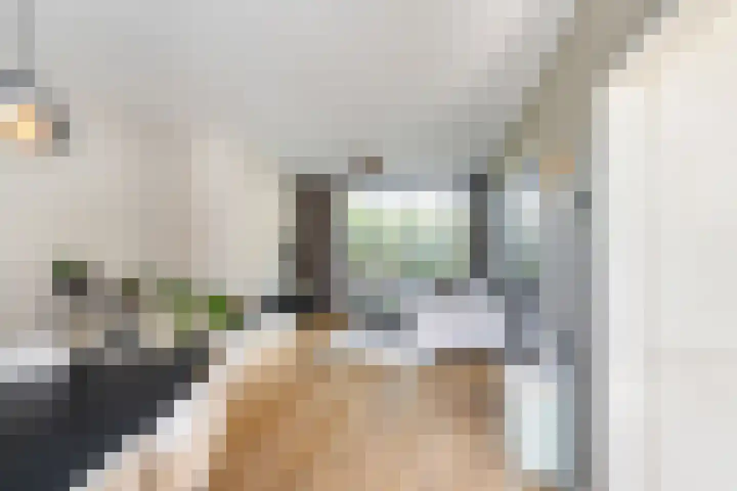 Wegedoornpad 13 's-Gravenzande thumbnail 6