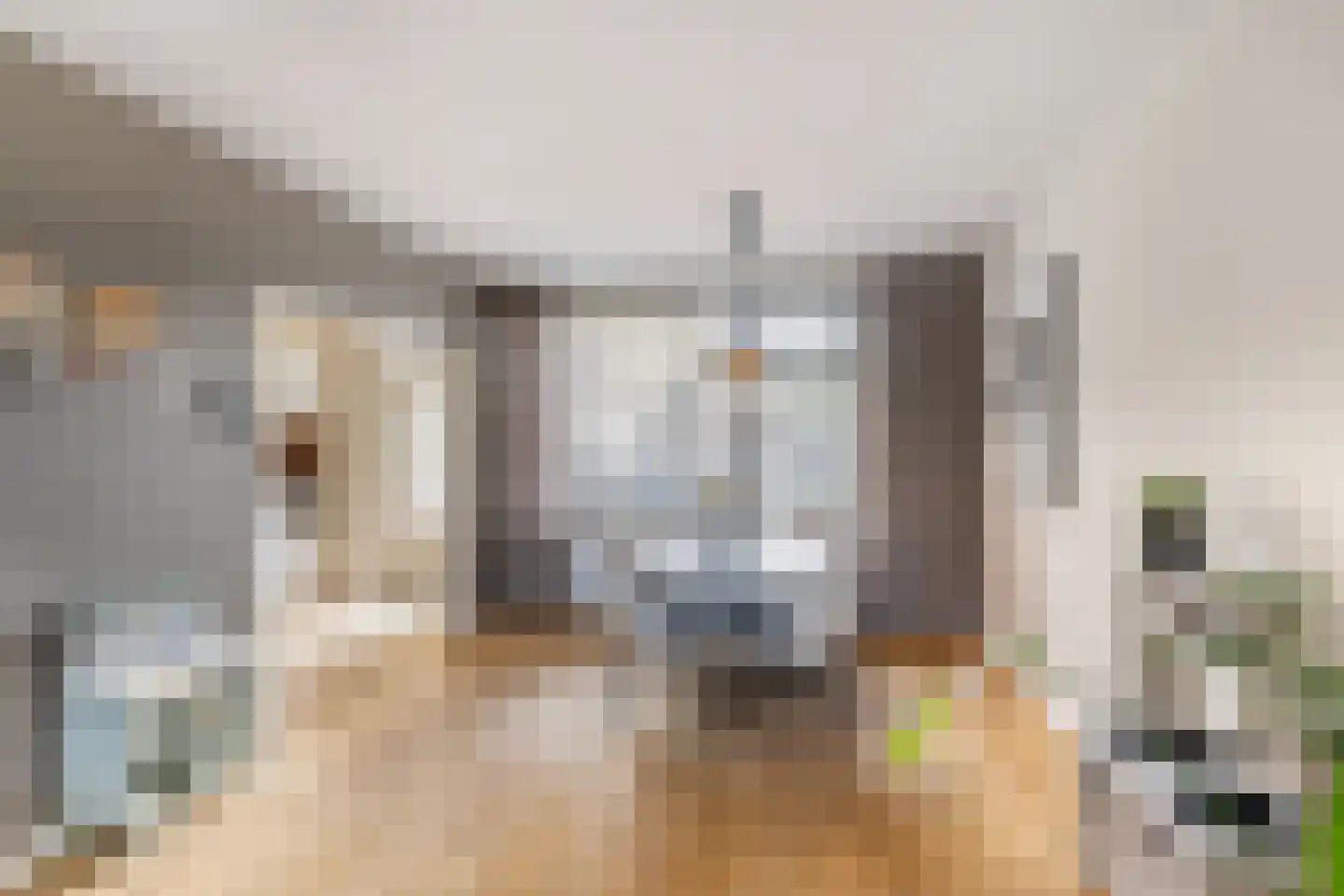 Wegedoornpad 13 's-Gravenzande thumbnail 8