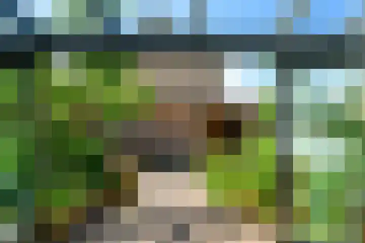 Wegedoornpad 20 's-Gravenzande thumbnail 12
